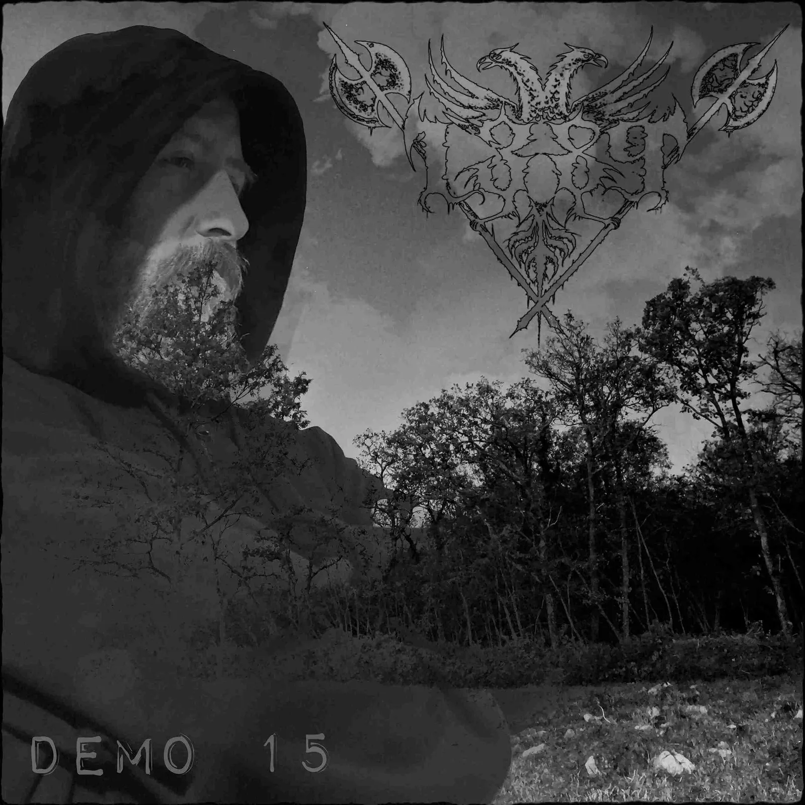 1389 - Demo 15 Album Cover