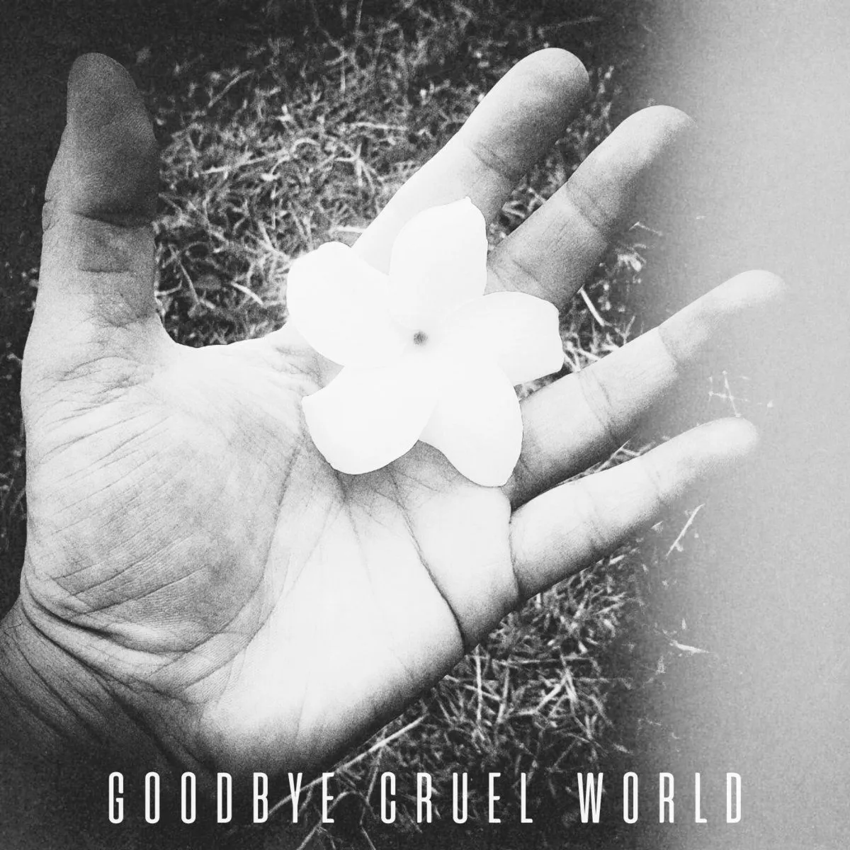 Agamenon Project - Goodbye Cruel World Album Cover