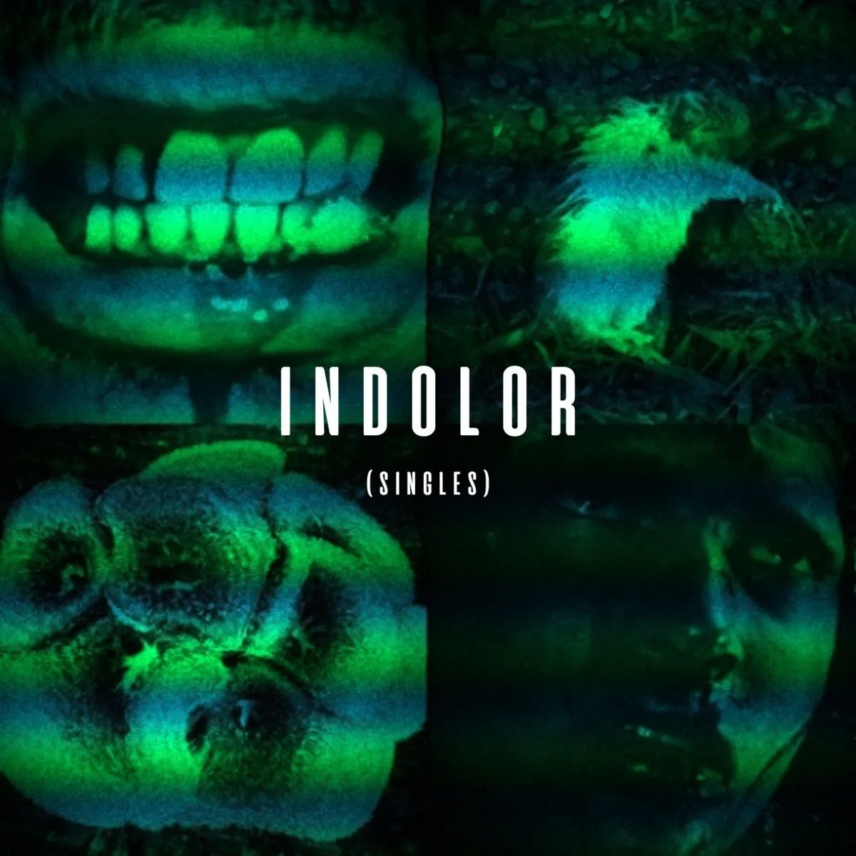 Agamenon Project - Indolor (Singles) Album Cover