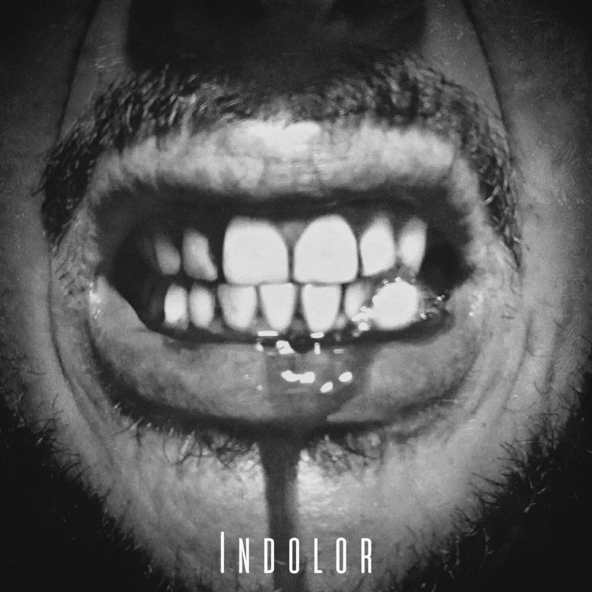 Agamenon Project - Indolor Album Cover