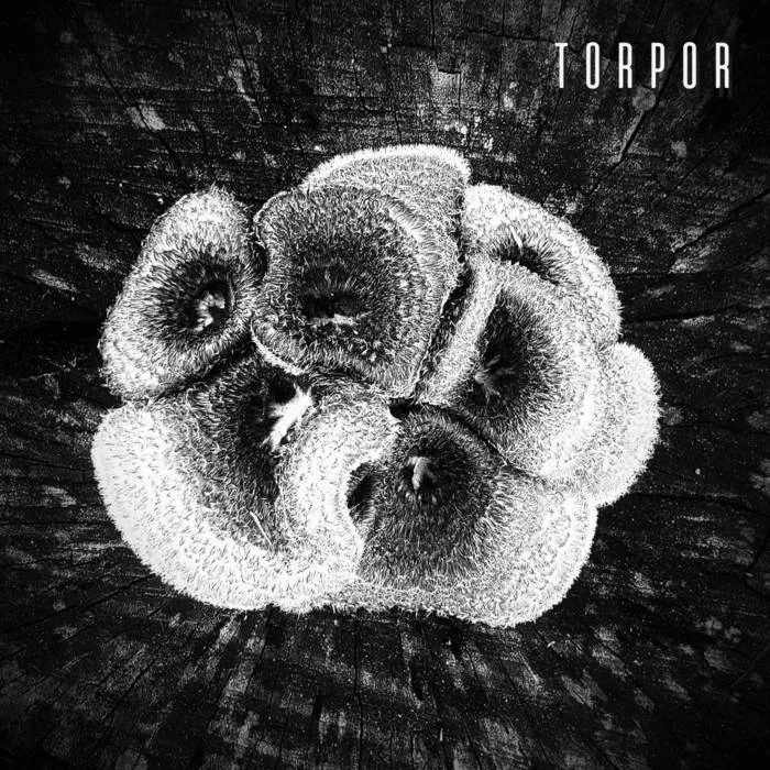 Agamenon Project - Torpor (Rot) Album Cover