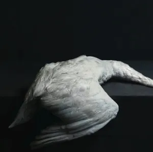 Amenra - Mass VI Album Cover