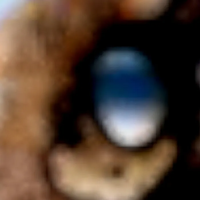Holey Stone