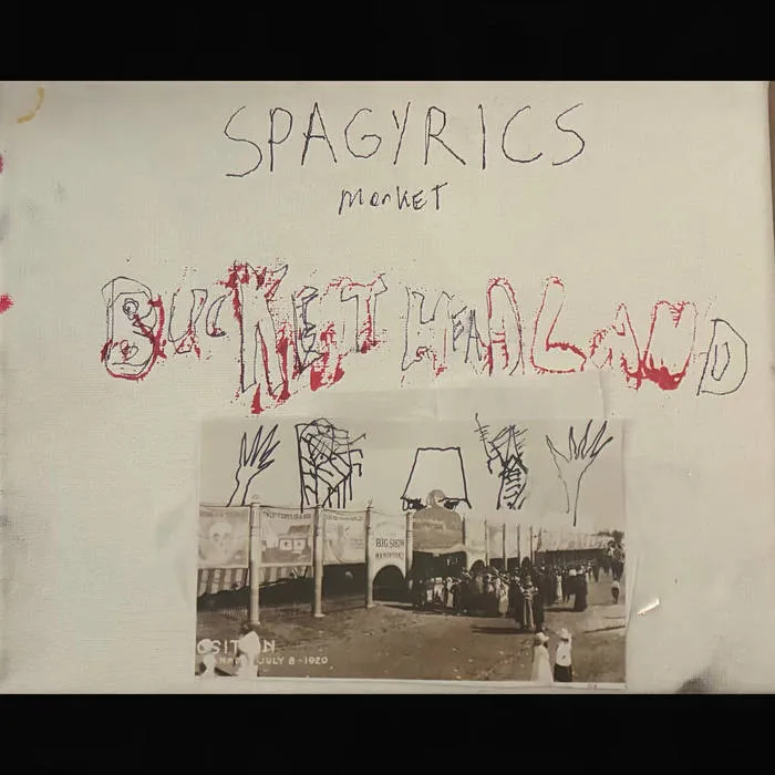 Spagyrics Market