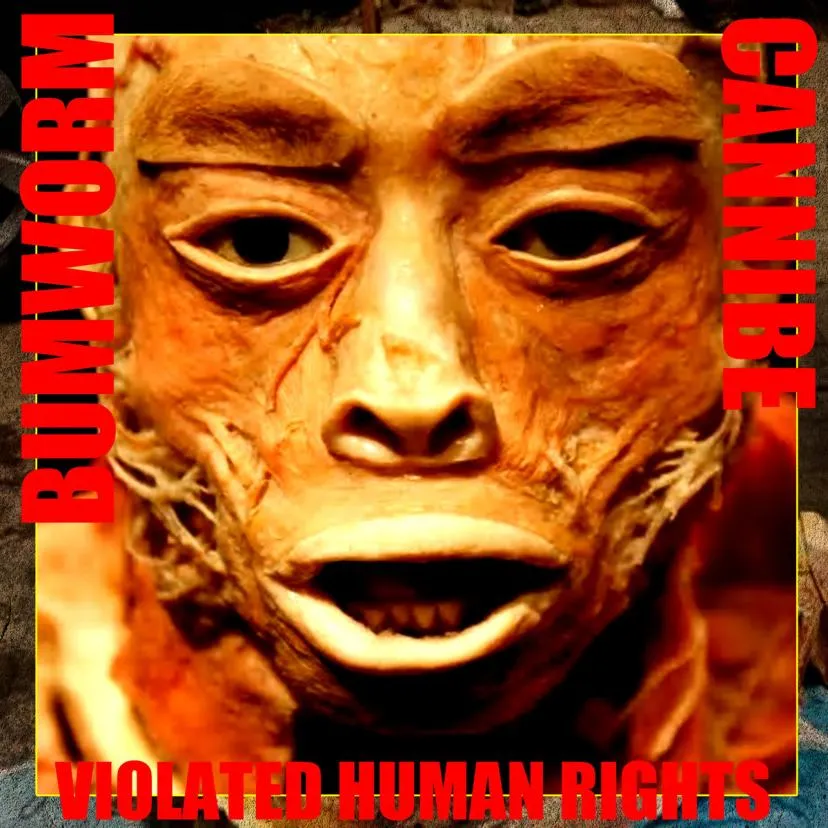 Cannibe - Violated Human Rights Album Cover