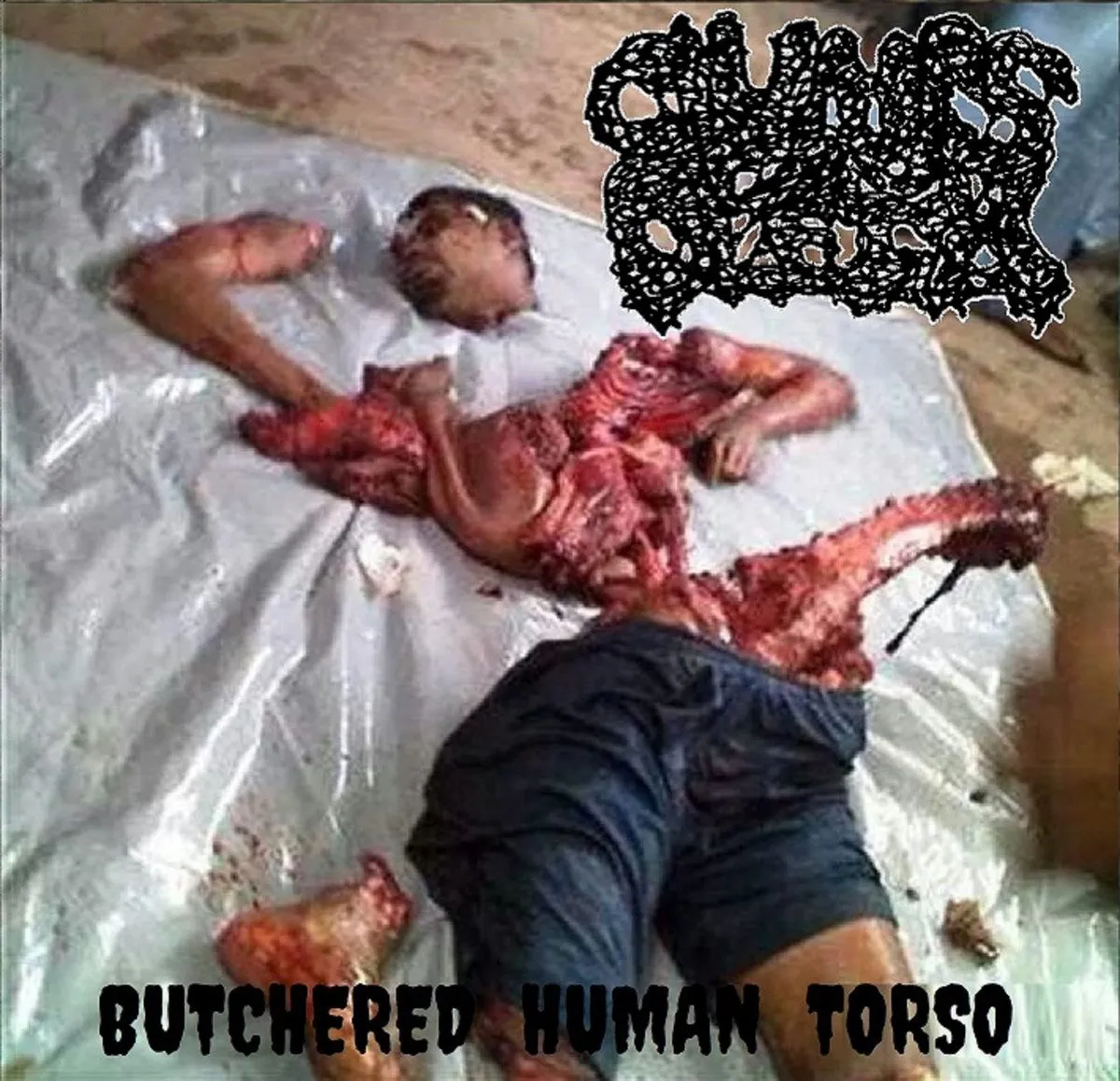 Clumps of Flesh - Butchered Human Torso Album Cover