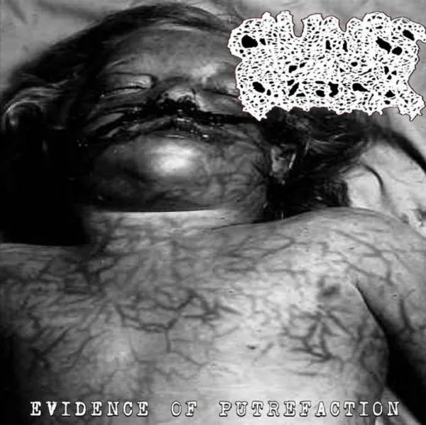 Clumps of Flesh - Evidence of Putrefaction Album Cover