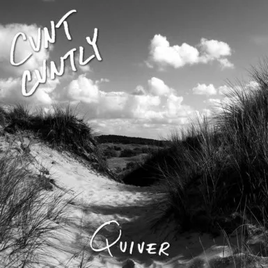 Cunt Cuntly - Quiver Album Cover