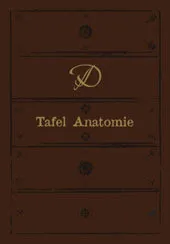 Tafel Anatomie