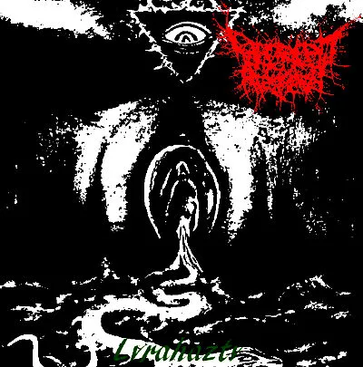 Decrepit Artery - Lvrahaztv Album Cover