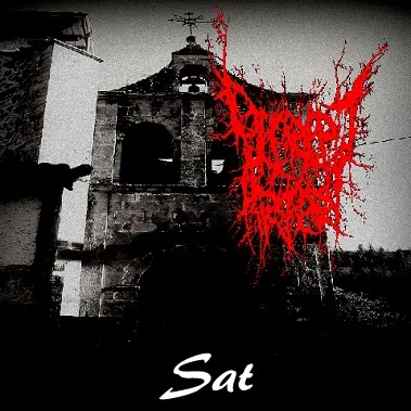 Decrepit Artery - Sat Album Cover