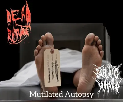 Defiling Humanity - Mutilated Autopsy Album Cover