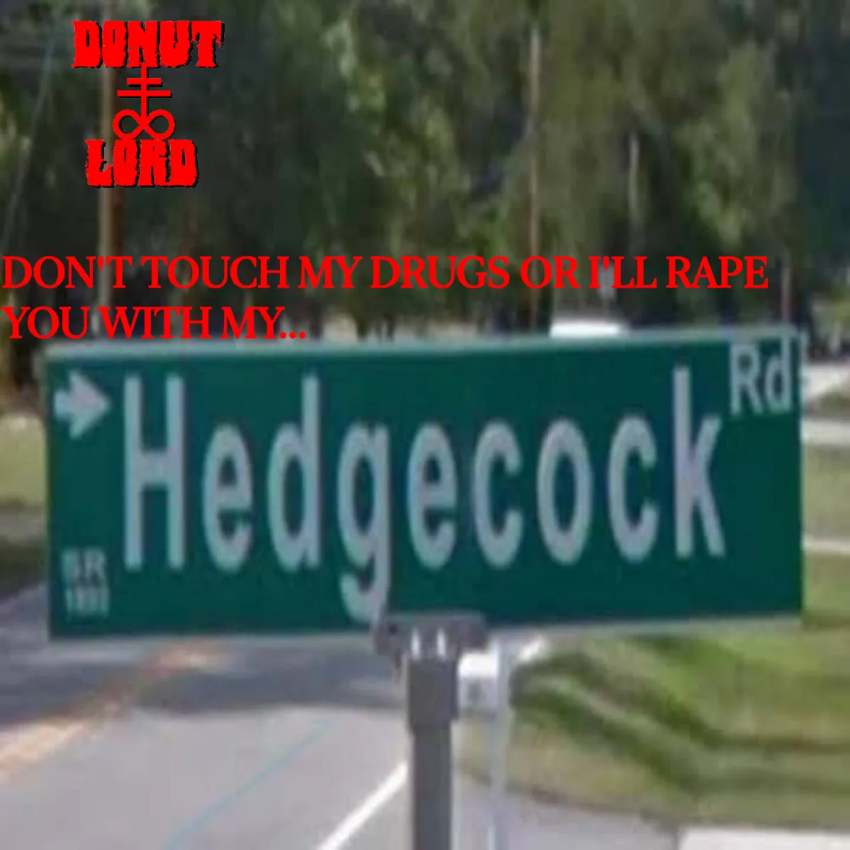Don't Touch My Drugs or I'll Rape You with My Hedgecock