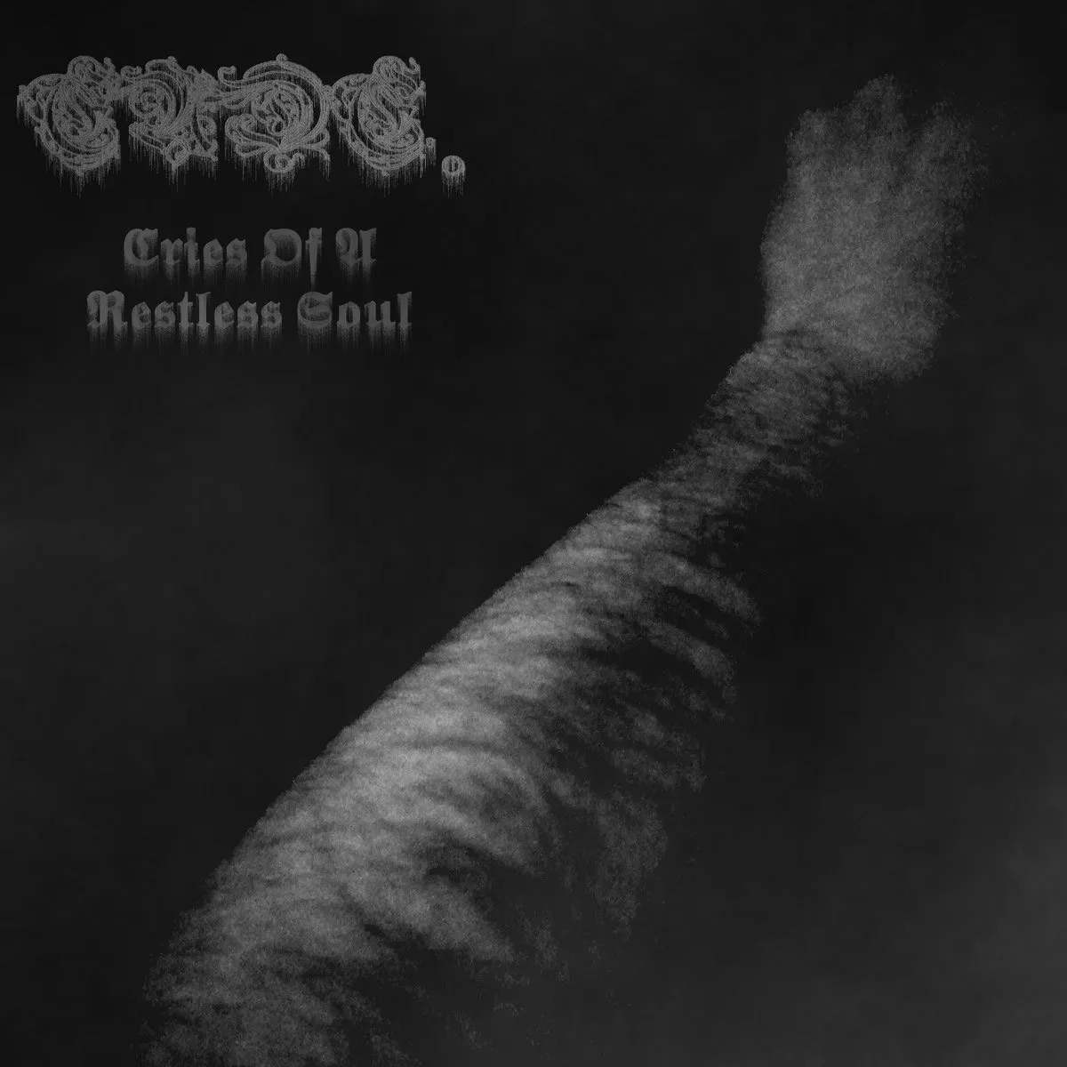 Ende. - Cries of a Restless Soul Album Cover