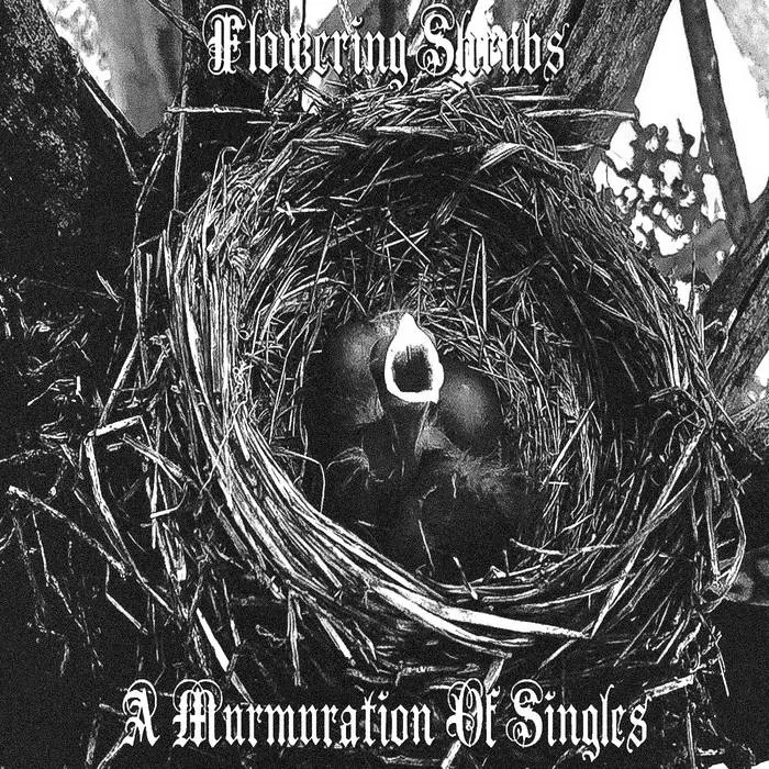 Flowering Shrubs - A Murmuration of Singles Album Cover