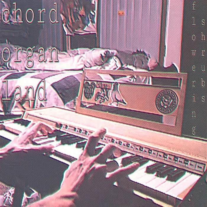 Flowering Shrubs - Chord Organ Land Album Cover