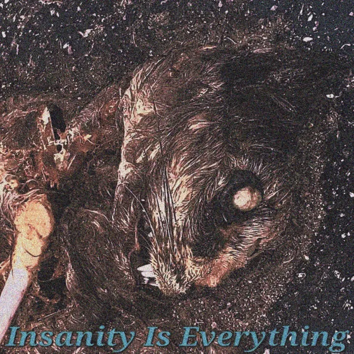 Insanity Is Everything