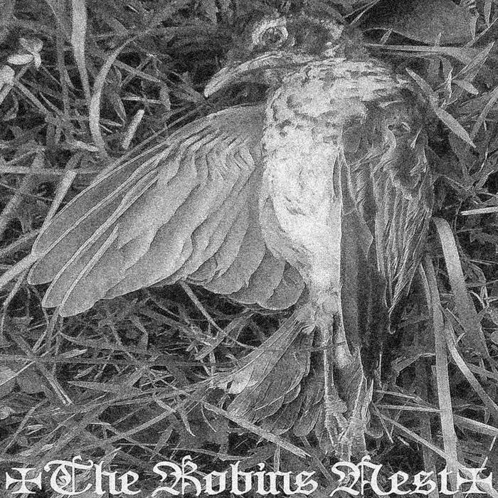 The Robins Nest