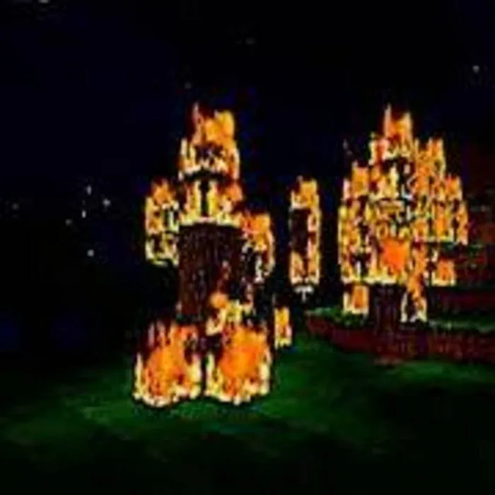 The World Is Burning
