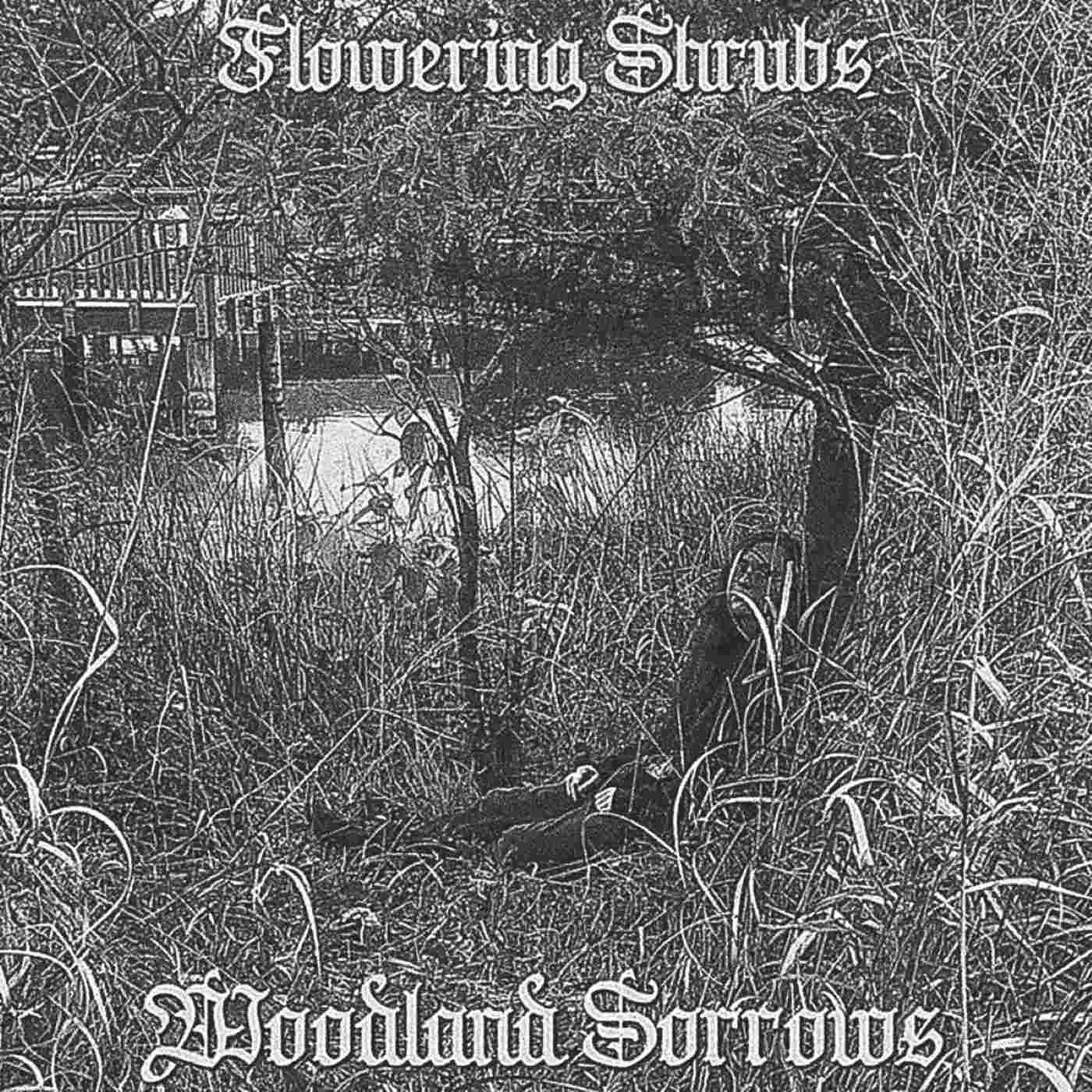 Woodland Sorrows