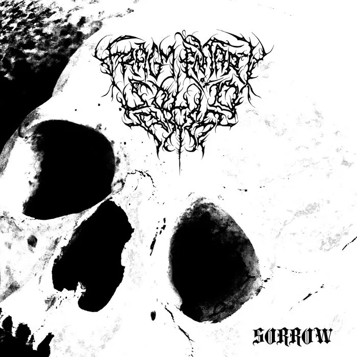 Fragmentary Solid Abyss - Sorrow Album Cover