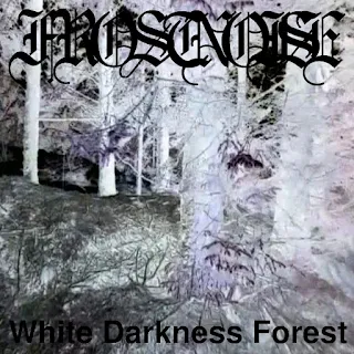 Frostnoise - White Darkness Forest Album Cover