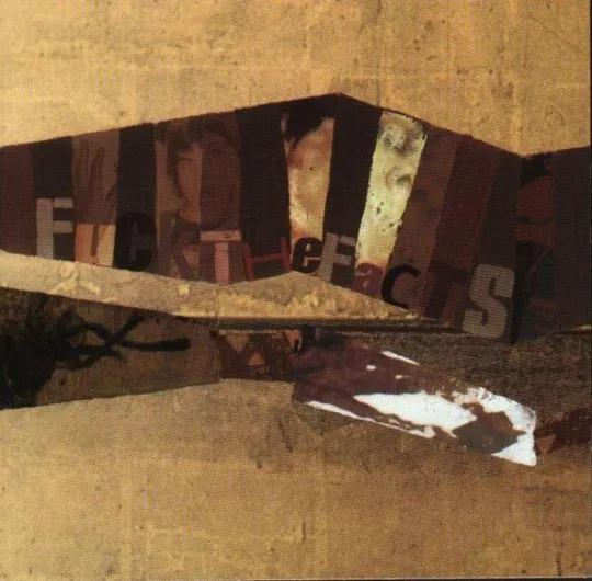 Fuck the Facts - Collection of Splits 2002-2004 Album Cover