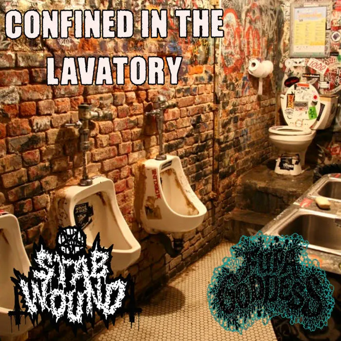 Confined in the Lavatory