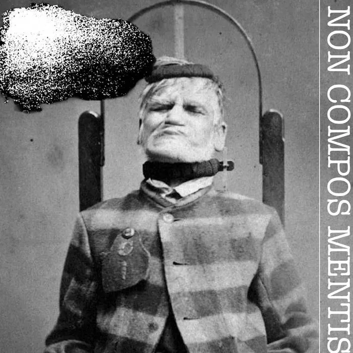 Fupa Goddess - Non Compos Mentis Album Cover