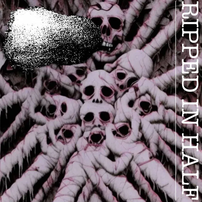 Fupa Goddess - Ripped in Half Album Cover