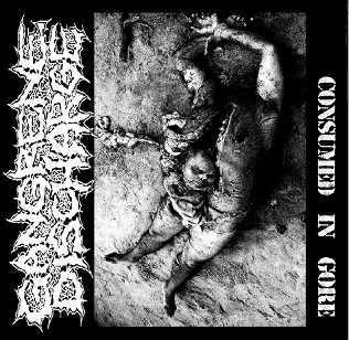 Consumed in Gore