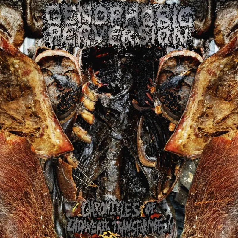Chronicles of Cadaveric Transformation