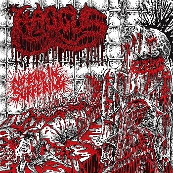 Haggus - No End in Suffering Album Cover