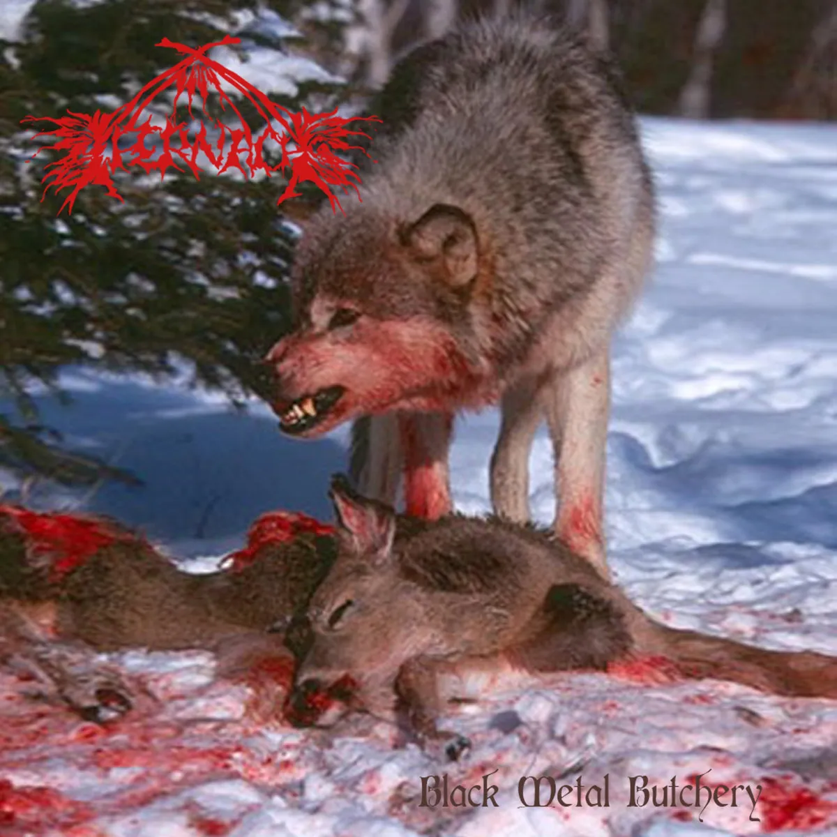 Black Metal Butchery