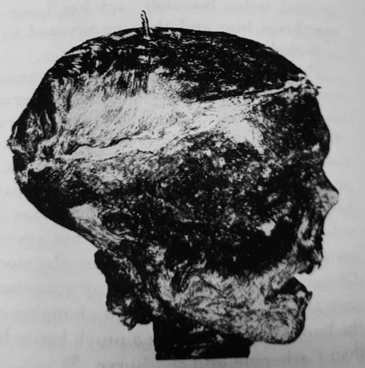 Incantations of Cadaver Mutilation - Everything Turns Gray Album Cover