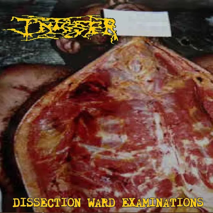 Infester - Dissection Ward Examinations Album Cover
