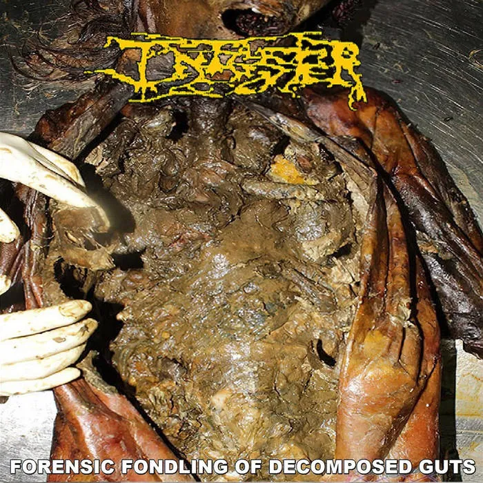 Infester - Forensic Fondling of Decomposed Guts Album Cover