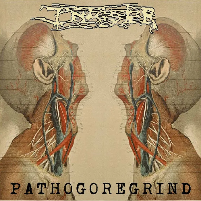 Infester - Pathogoregrind Album Cover