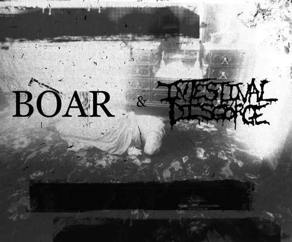 Intestinal Disgorge - Boar & Intestinal Disgorge Album Cover