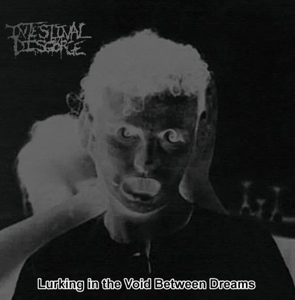 Intestinal Disgorge - Lurking in the Void Between Dreams Album Cover