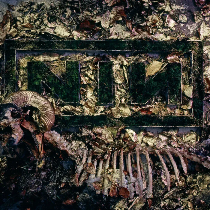 Isaac Saunders - New NIN Idea Album Cover