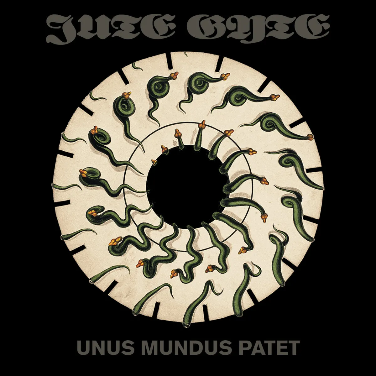 Jute Gyte - Unus Mundus Patet Album Cover