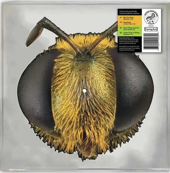 King Gizzard & the Lizard Wizard - Big Fig Wasp Album Cover