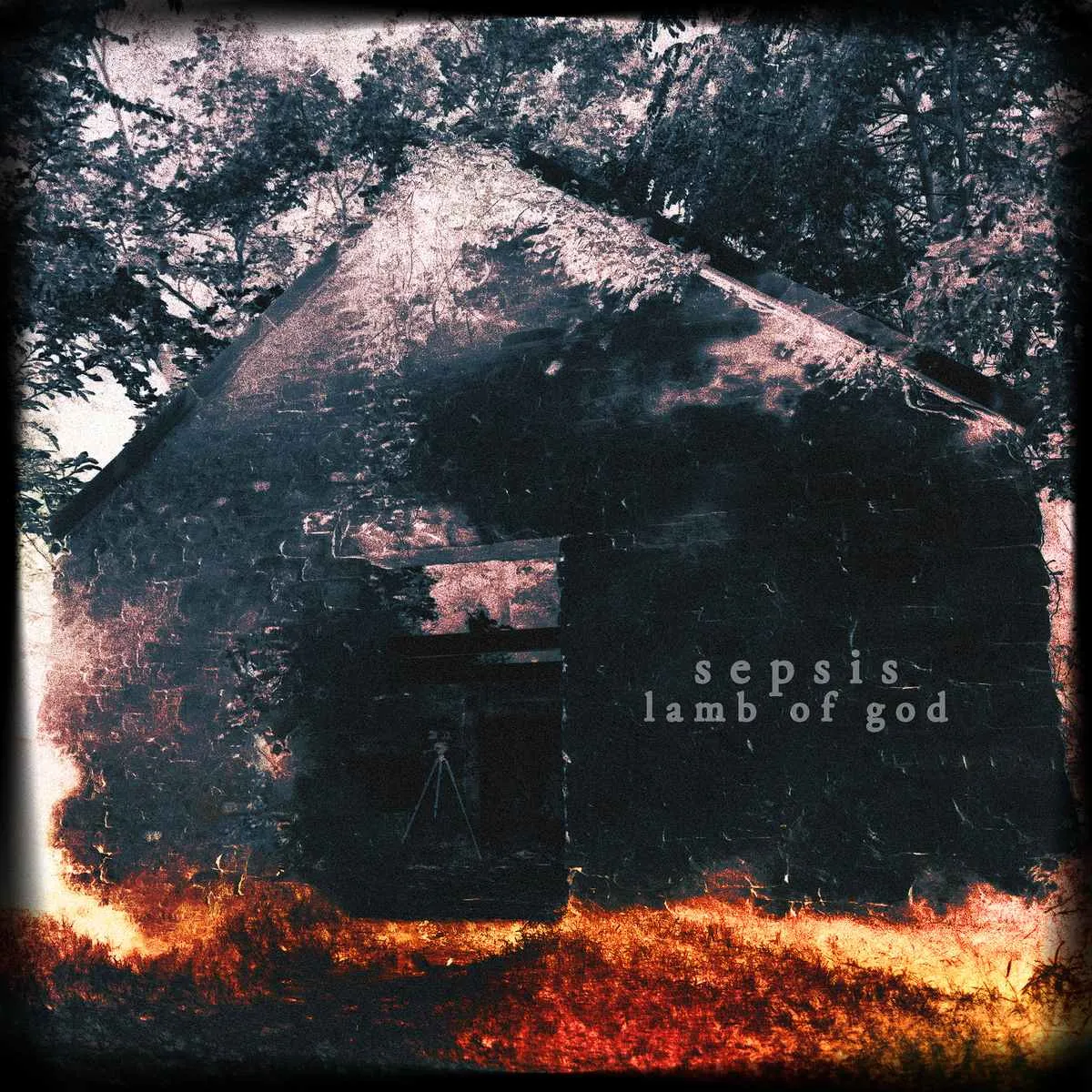 Lamb of God - Sepsis Album Cover