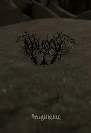 Fragmente