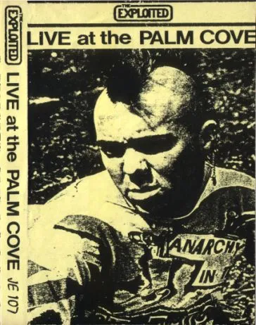 Live at the Palm Cove