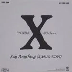 Say Anything (Radio Edit)